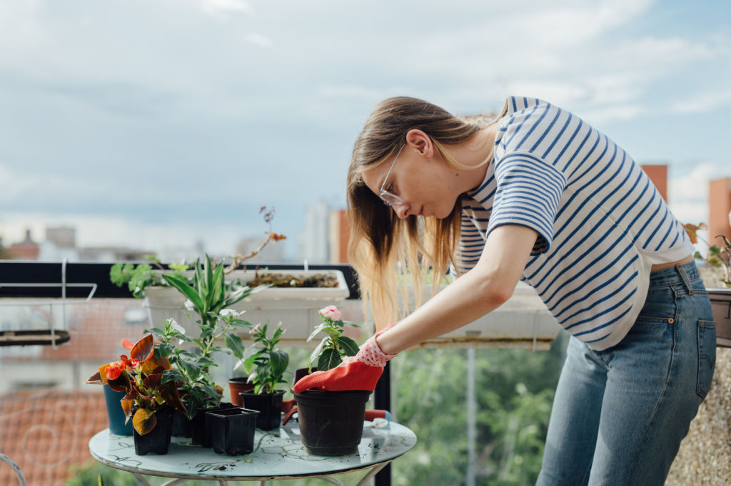 If you have a garden or a balcony, consider growing vegetables or fruit. Photo: Stocksy