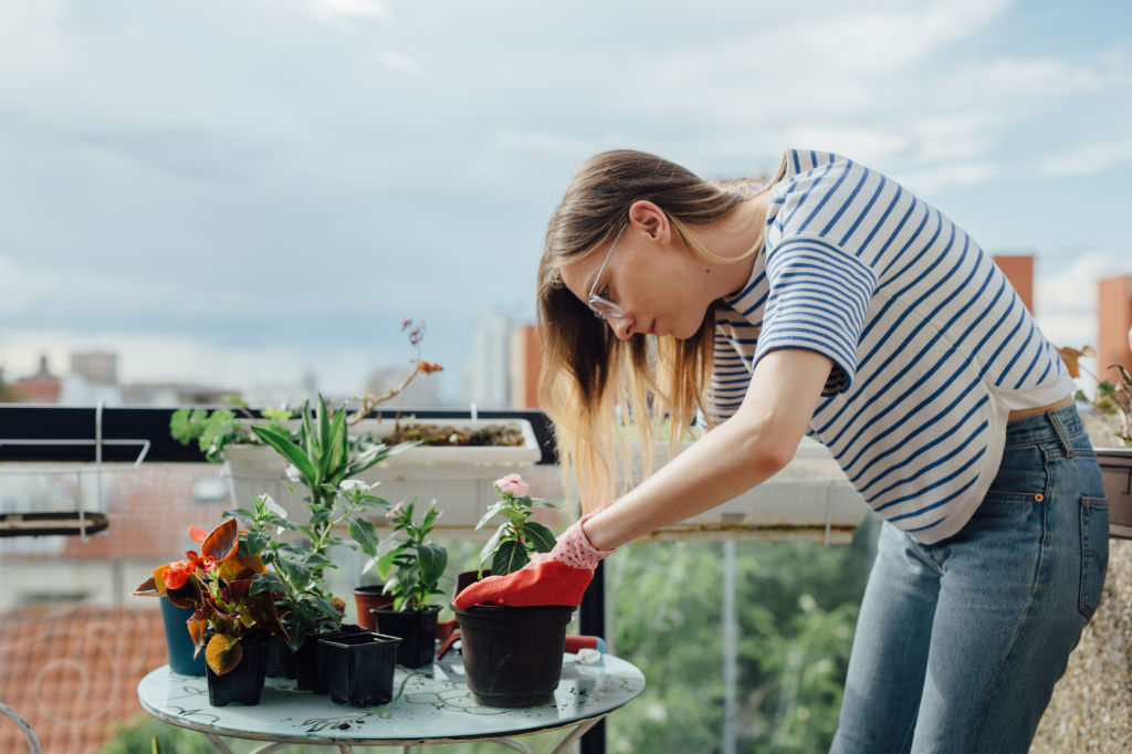 Creating an edible garden for every space