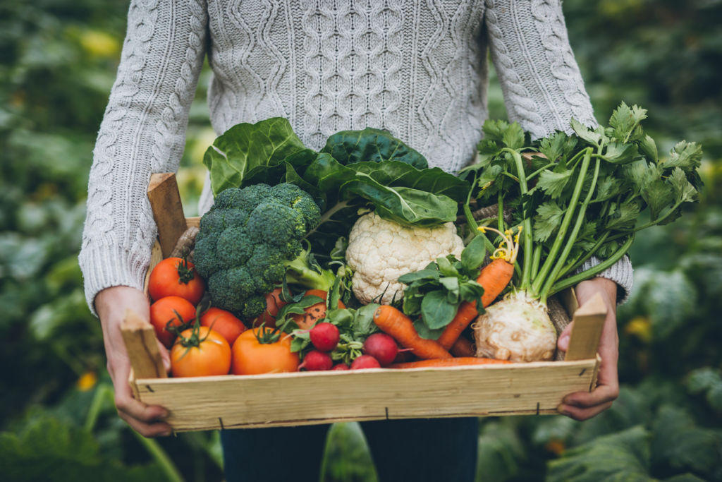 Grow what fruit and veg you can. Photo: iStock