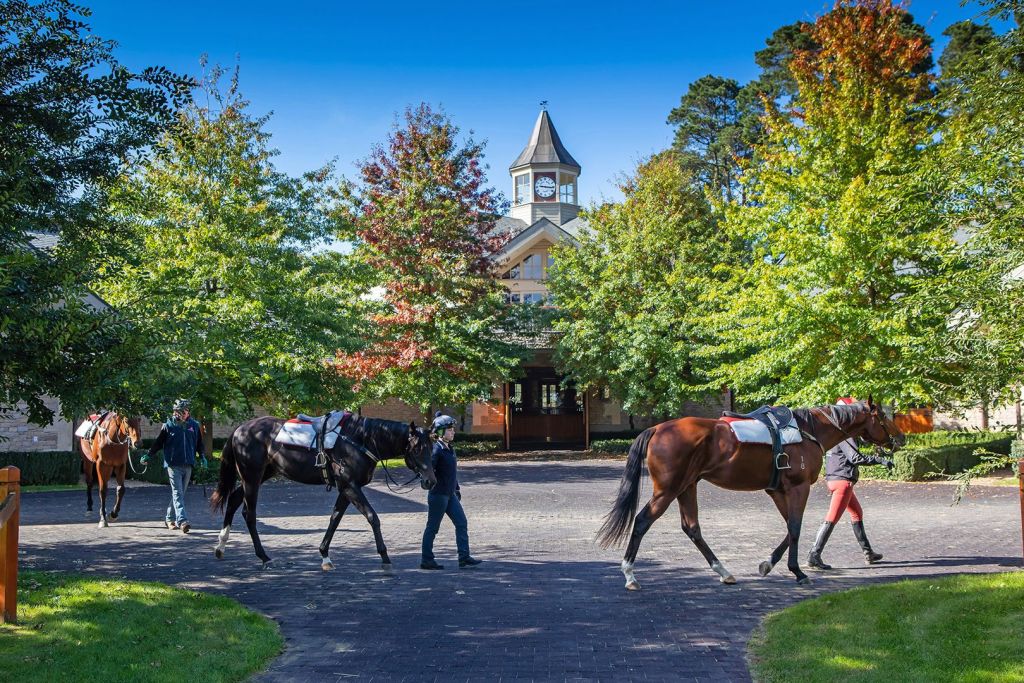 The state-of-the-art facilities include Ladd Hudson-designed stables.