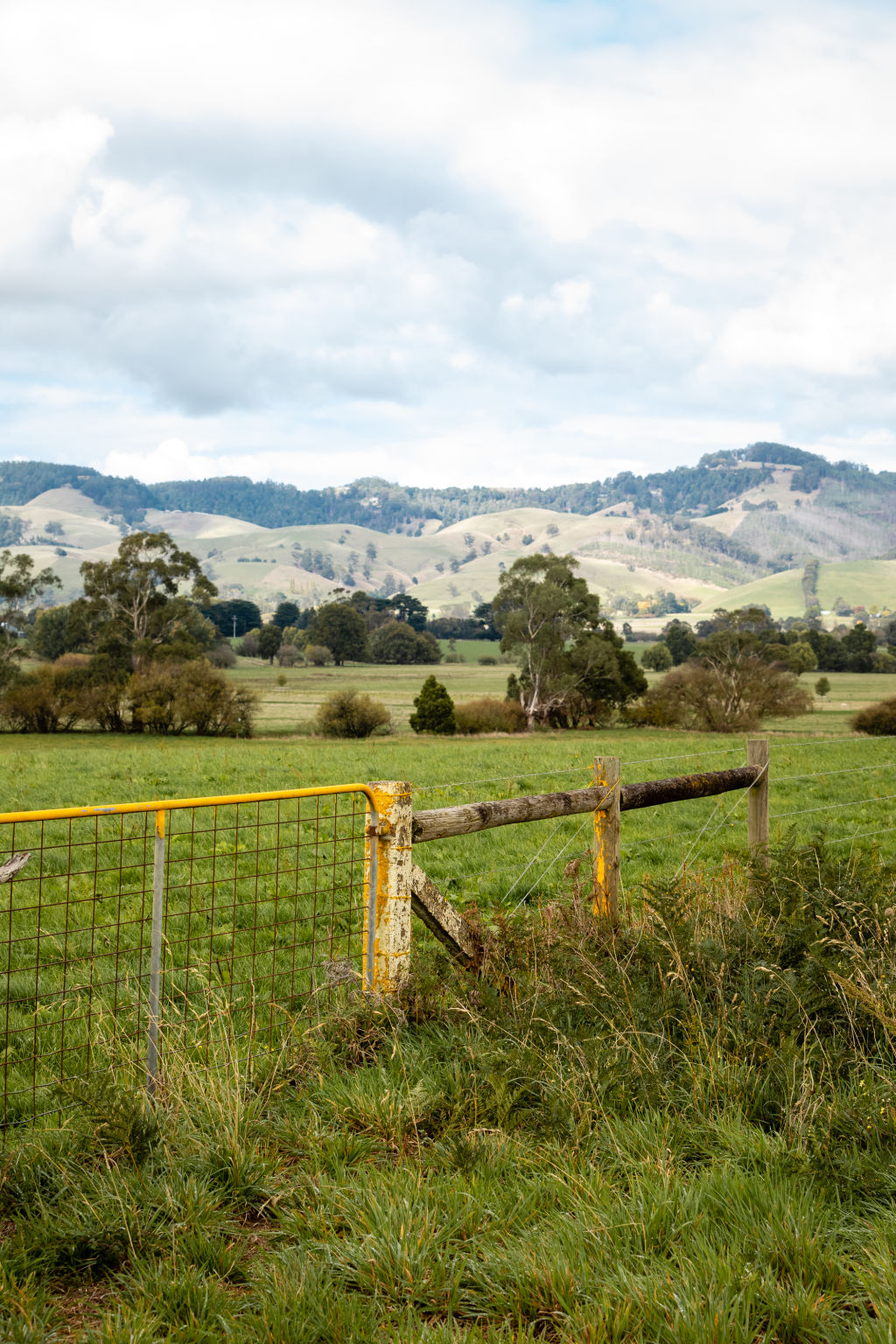Out of Town buying a property in Gippsland's Warragul and Drouin region
