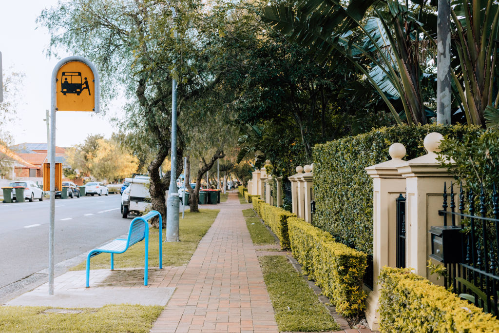 Botany has a mix of residential and commercial areas, with a strong industrial past. Photo: Vaida Savickaite