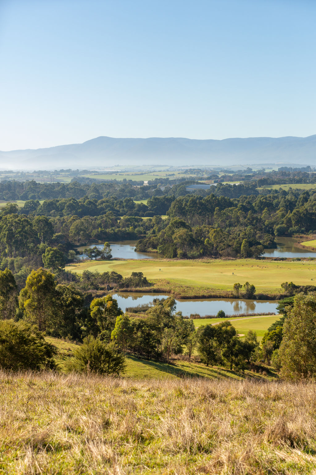 The incredible views from Mount Lofty Park. Photo: Greg Briggs