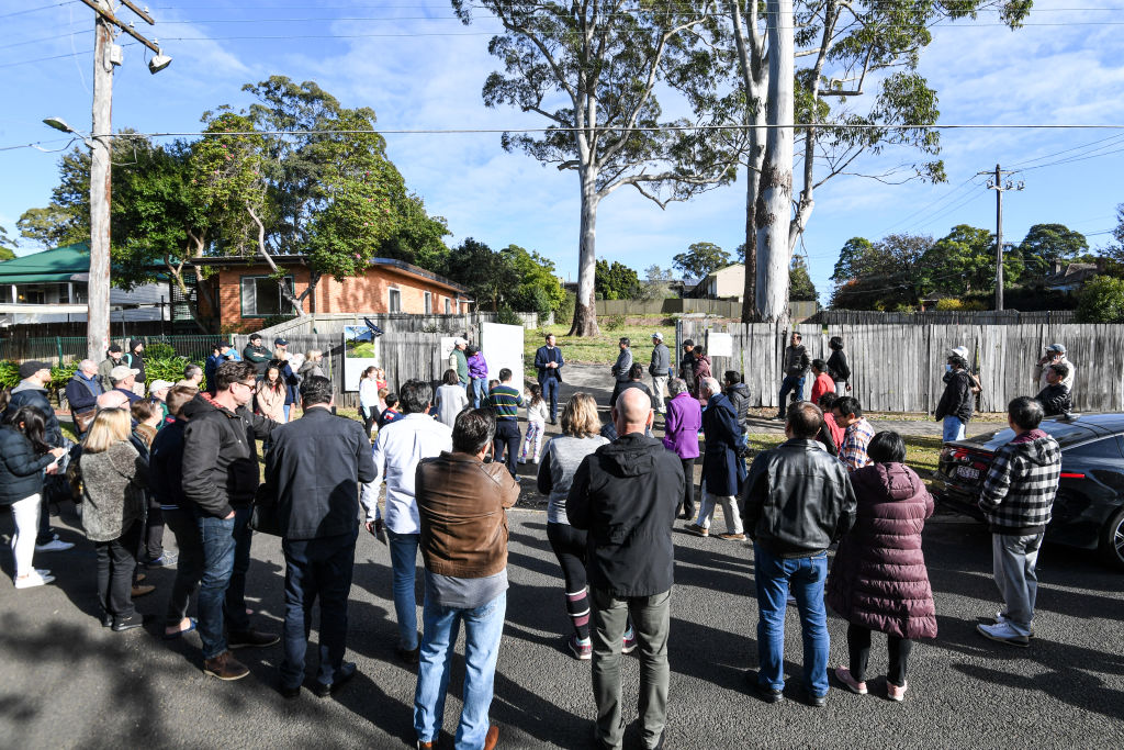The auctioneer confirmed that Ausgrid contractually obliged itself to remove the three mature-aged gum trees on the vacant land by settlement. Photo: Peter Rae