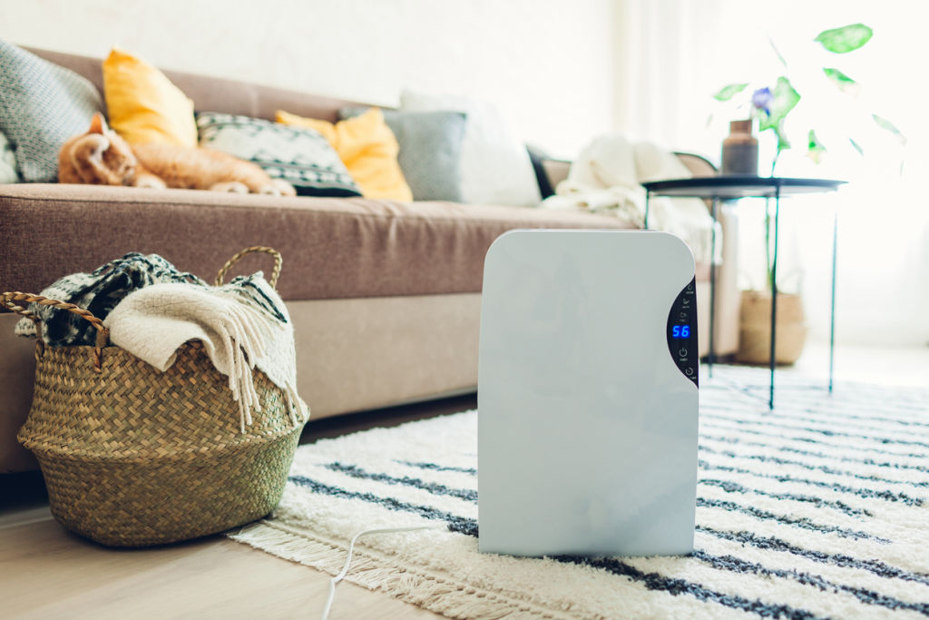 A dehumidifier can take moisture out of the air as well as reduce musty odours and allergens such as dust mites. Photo: iStock