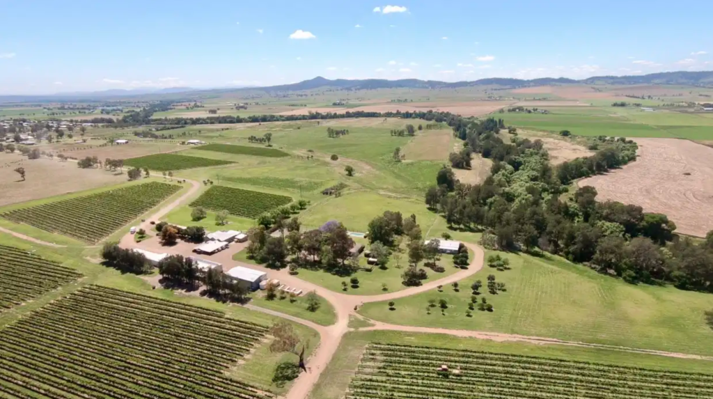 Tulloch Wines owners selling Hunter's Two Rivers vineyard