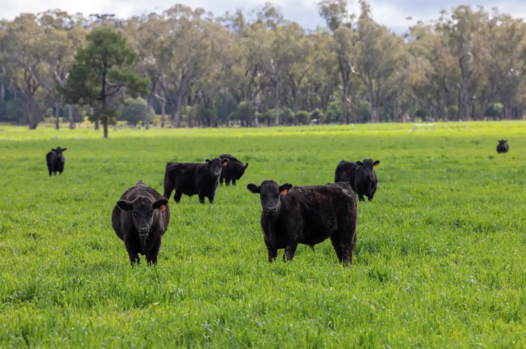 Farming families in the box seats as funds sell down portfolios