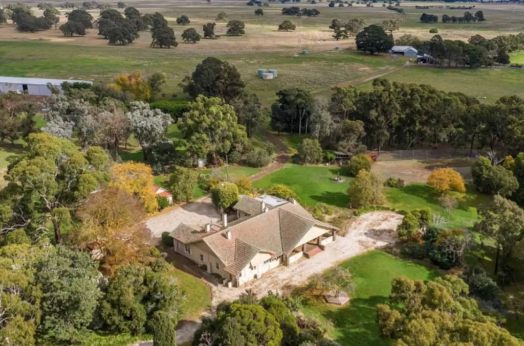 Sheep station fetches $35m as lockdowns fail to dent farm appetite