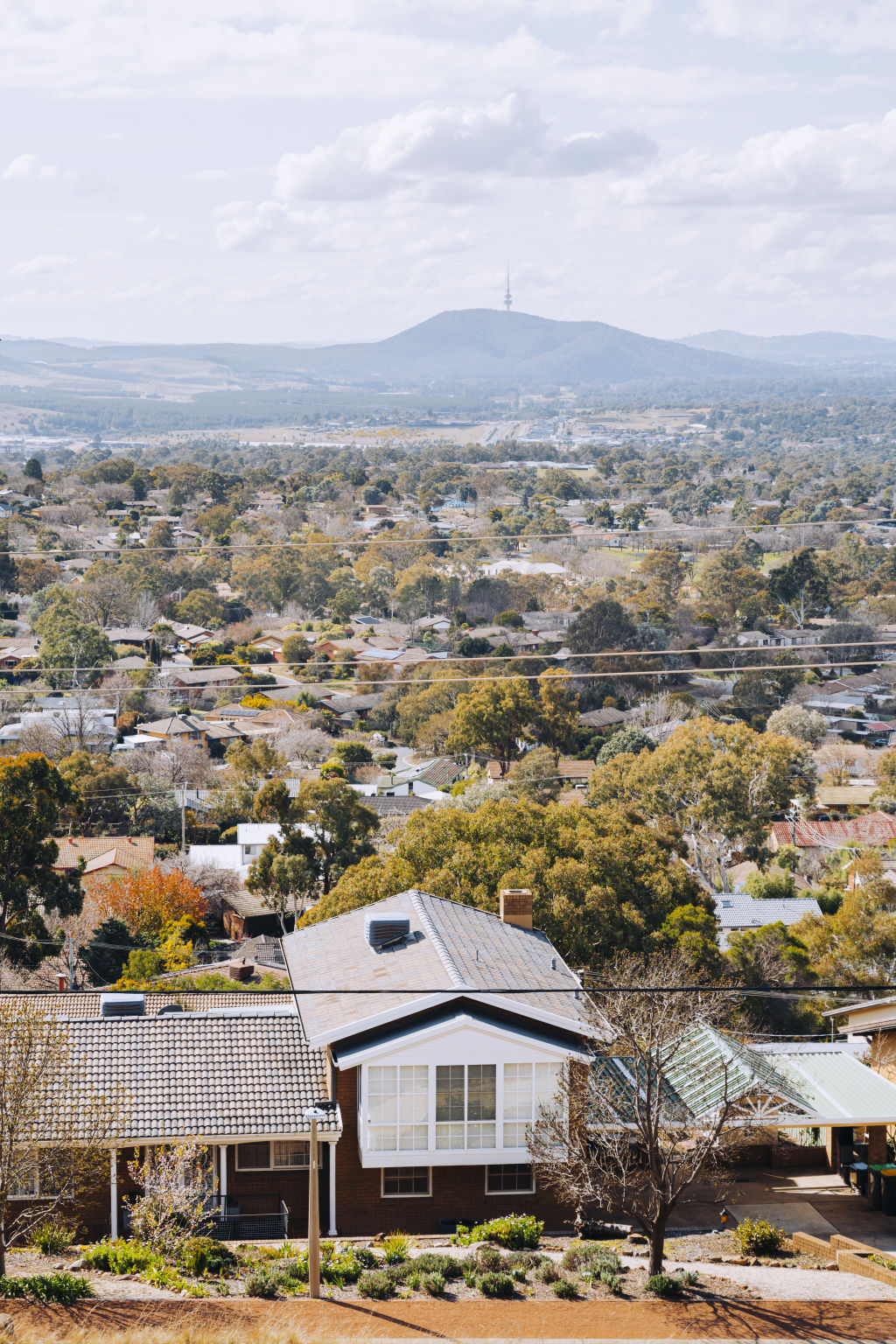 Build-to-rent aims to tackle common renting pain points. Photo: Jamila Toderas