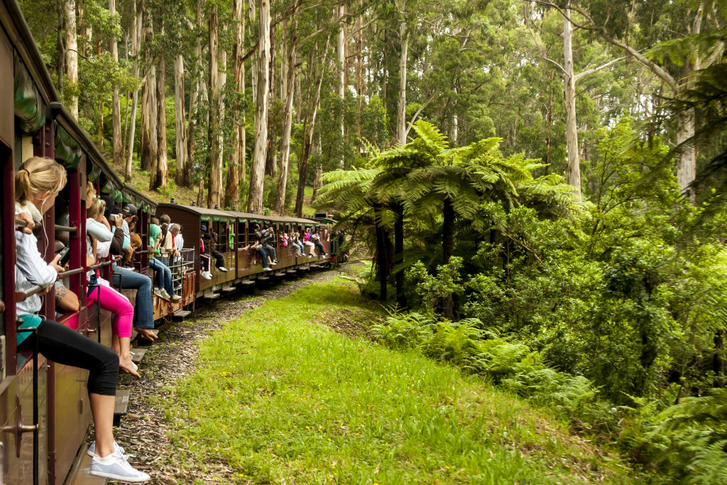 City dwellers have been lured to the Dandenongs for its idyllic lifestyle offerings. Photo: iStock