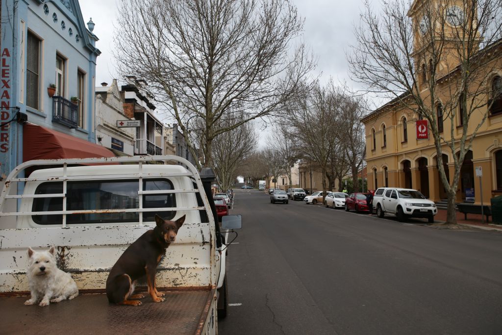 It's common to see someone you know on the street – and their dog. Photo: Jason South