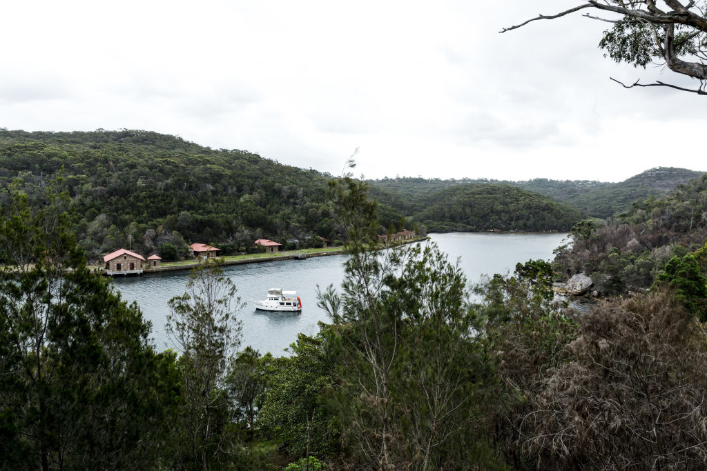 The revitalisation of Seaforth's shopping and cafe village has further drawn in buyers from surrounding areas. Photo: Steven Woodburn