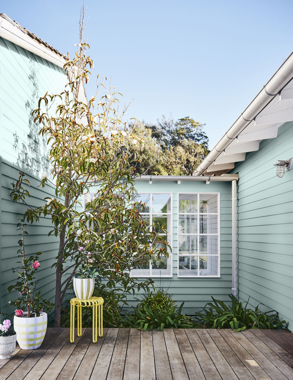 Don't forget outdoors: A quick lick of paint can brighten a small courtyard.  Dulux's Wonder palette. Photo: Lisa Cohen. Styling: Bree Leech