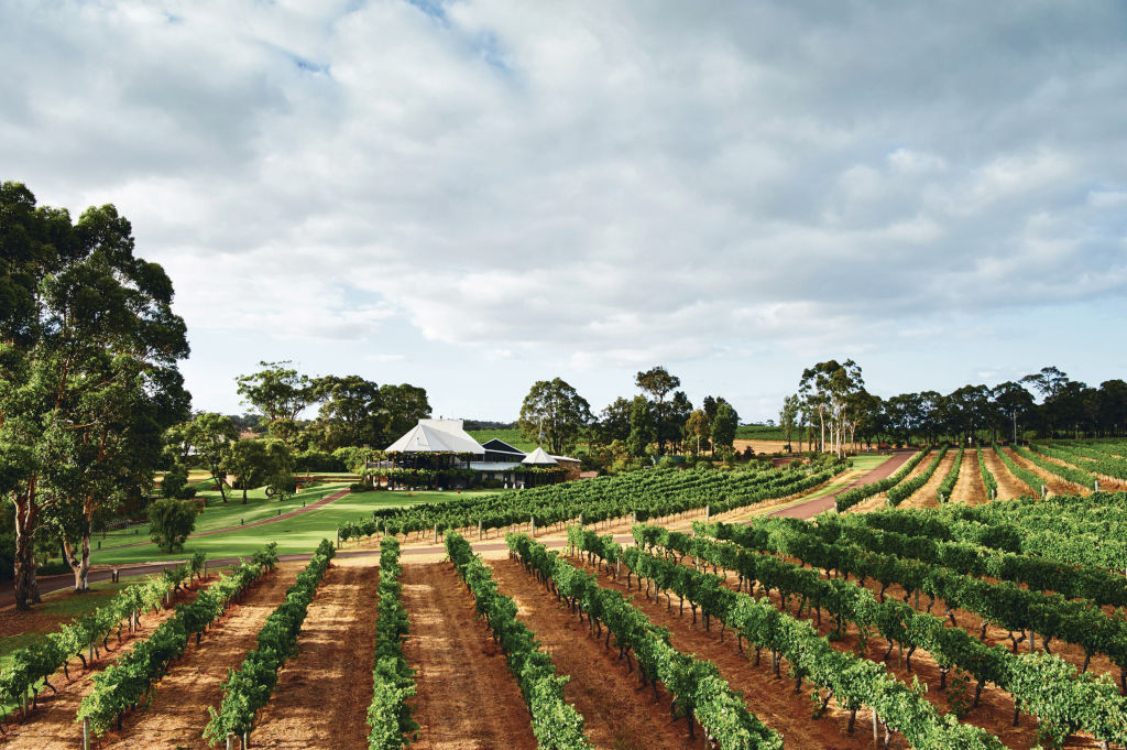 As more people can work from home, the idea of establishing their own winery as a side hustle has grown in appeal. Photo: Tourism Western Australia/Vasse Felix Pty Ltd