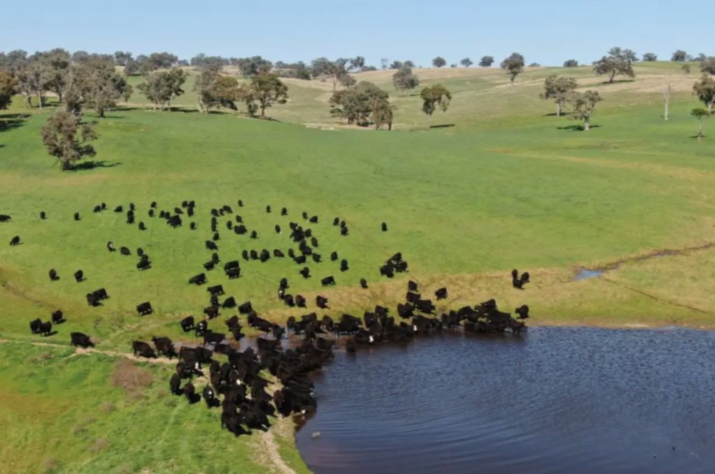 Strong demand for $10m-plus farmland as spring listings build