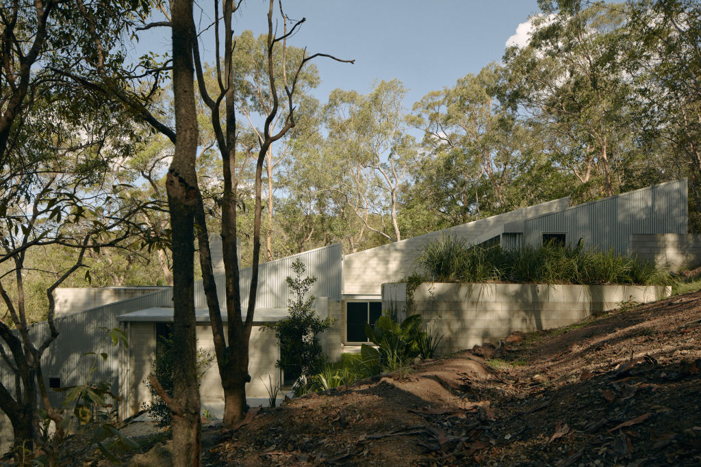 The winning project, Mt Coot-Tha House by Nielsen Jenkins, leans into a steep slope on a bushfire-prone plot in Brisbane. Photo: Tom Ross.