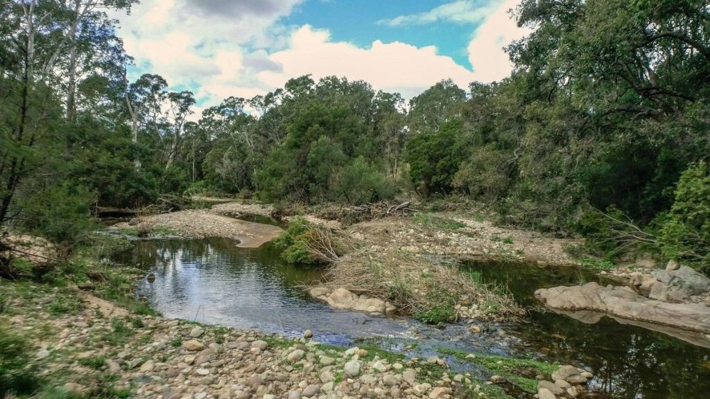 With its beautiful natural surrounds, Bega has been discovered by out-of-town buyers. Photo: Supplied