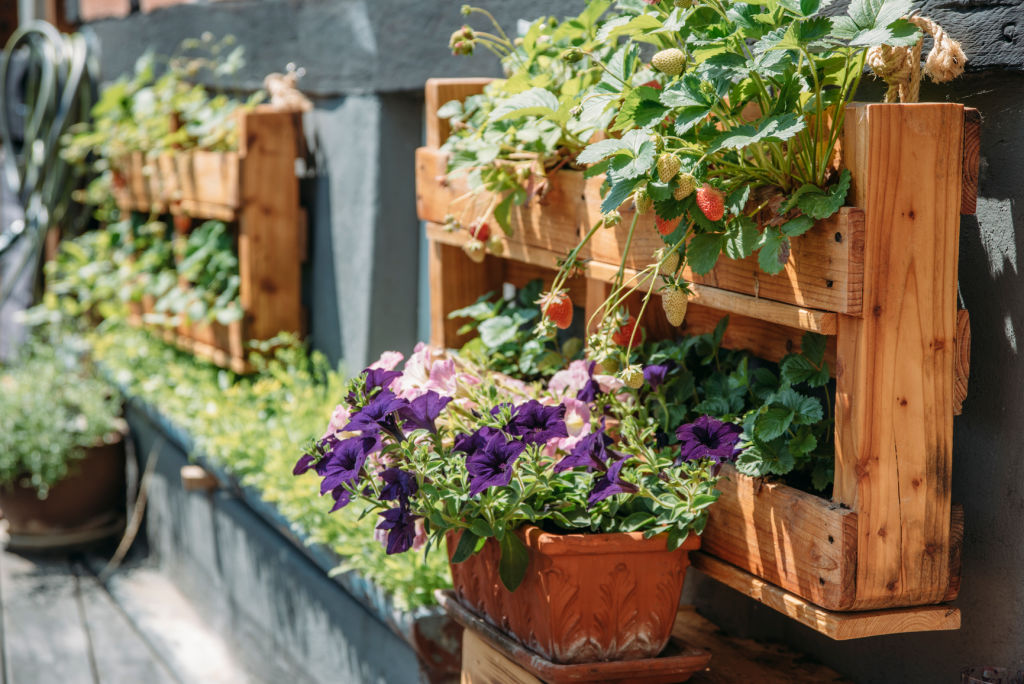 A vertical herb or flower garden can bring the wow factor. Photo: Stocksy
