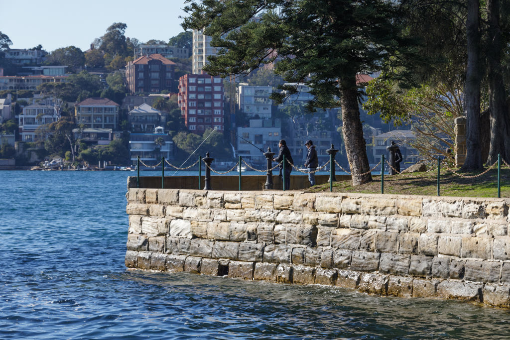 Darling Point has long been known as one of Sydney's affluent suburbs. Photo: Steven Woodburn