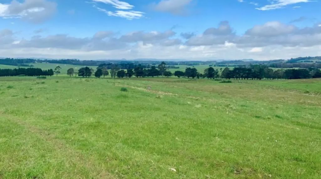 Southern Highlands dairy farm sells for $8.45m above reserve