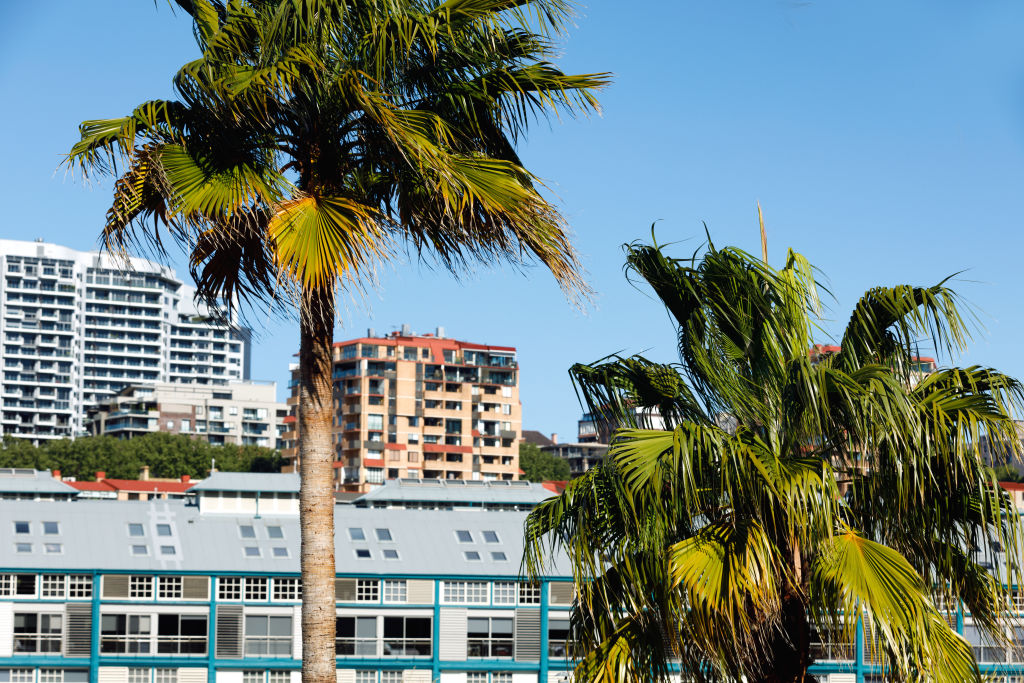 The short supply of homes in the suburb has led to house prices skyrocketing in the last few years. Photo: Steven Woodburn