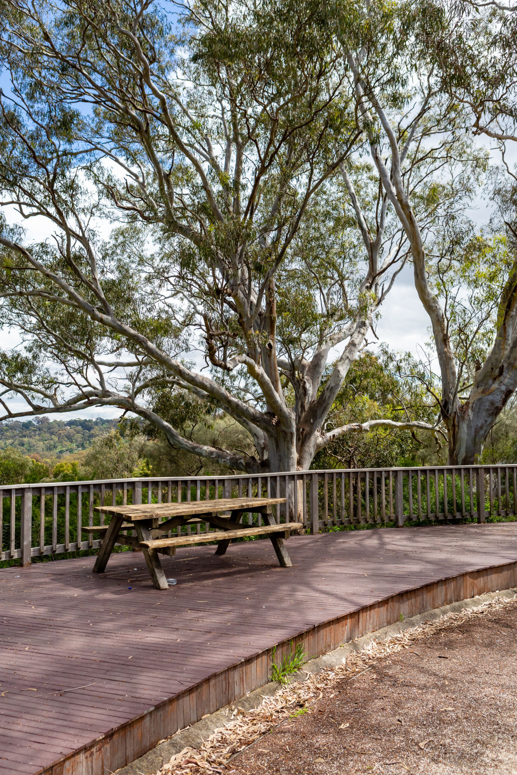 Great views from Westerfolds Park. Photo: Greg Briggs