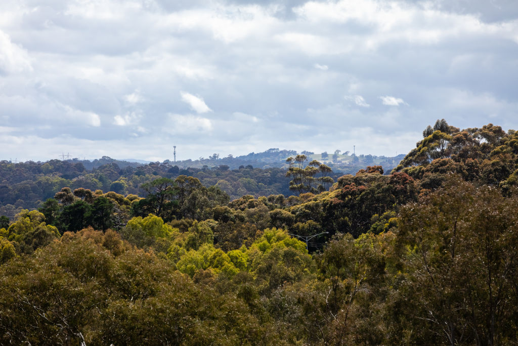 The Melbourne suburb that's surprisingly luxurious