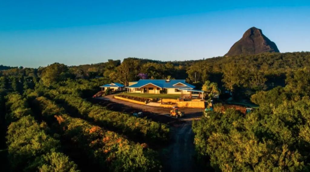 Sunshine Coast macadamia farm joins summer listings