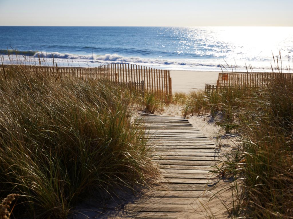 Beachfront property doesn't get much better than this. Photo: Bespoke Real Estate