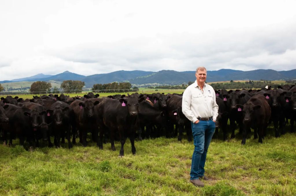 Farmland still offers good value despite price surge: Angus king