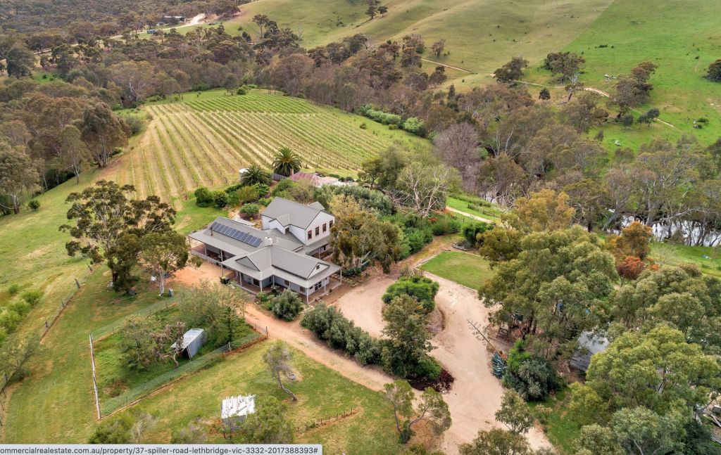 Moorabool Ridge is a rural lifestyle opportunity featuring an established vineyard.