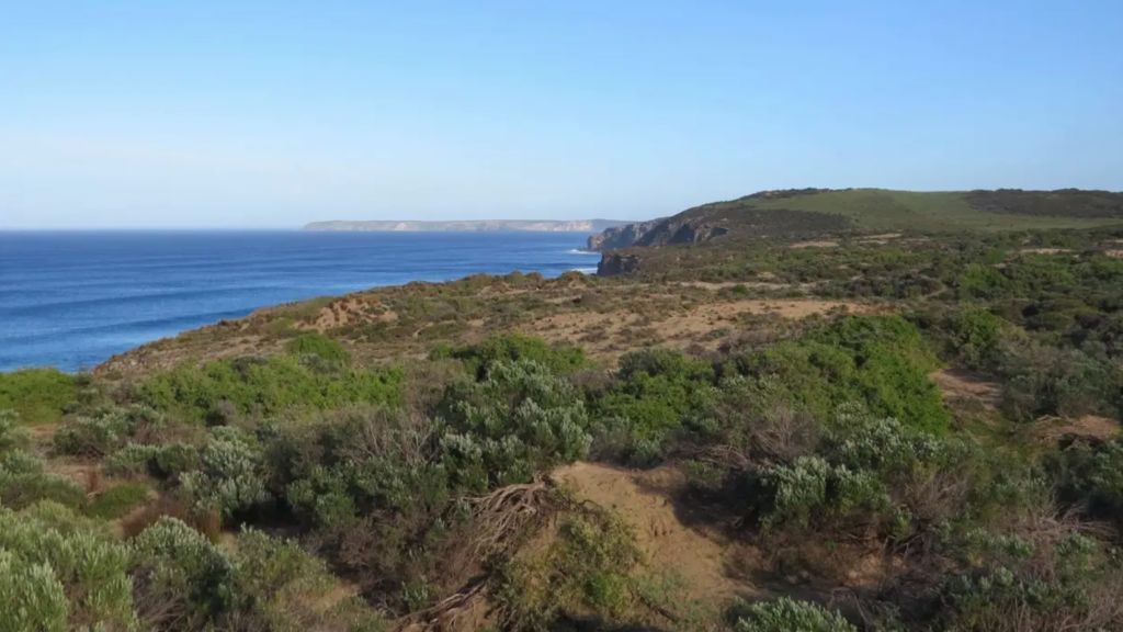 Pelligra tees up $50m for Kangaroo Island recovery
