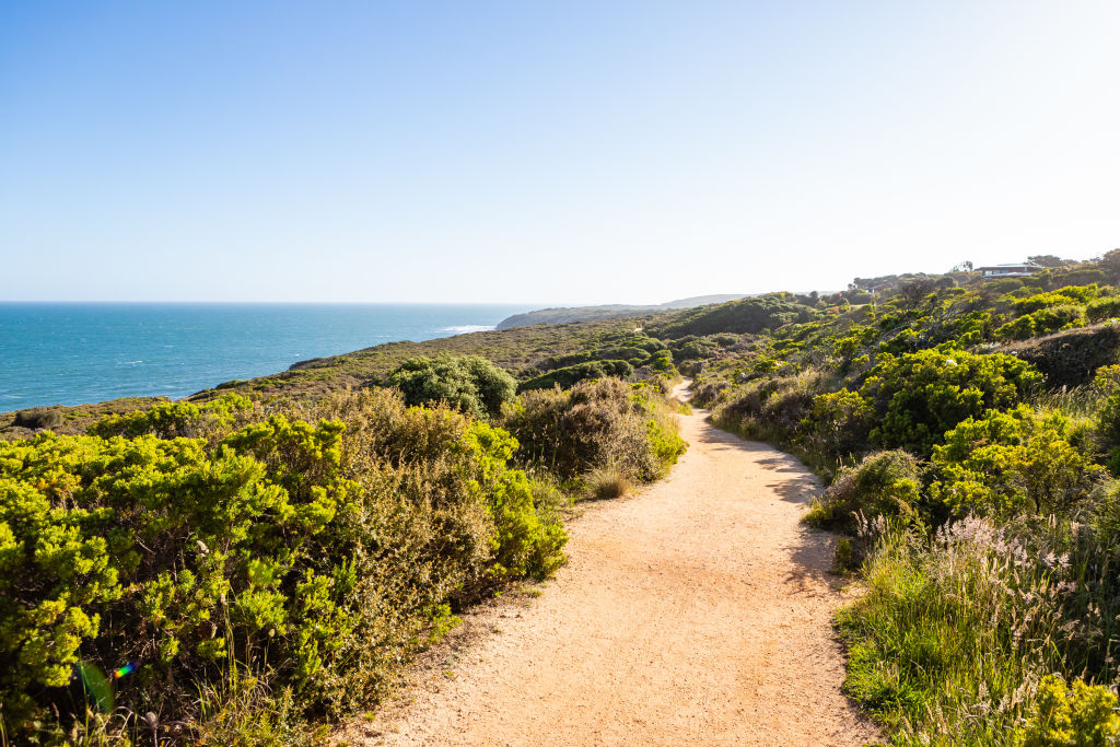 Having amenities like coastal walks nearby is what buyers are after when moving regionally. Photo: Greg Briggs