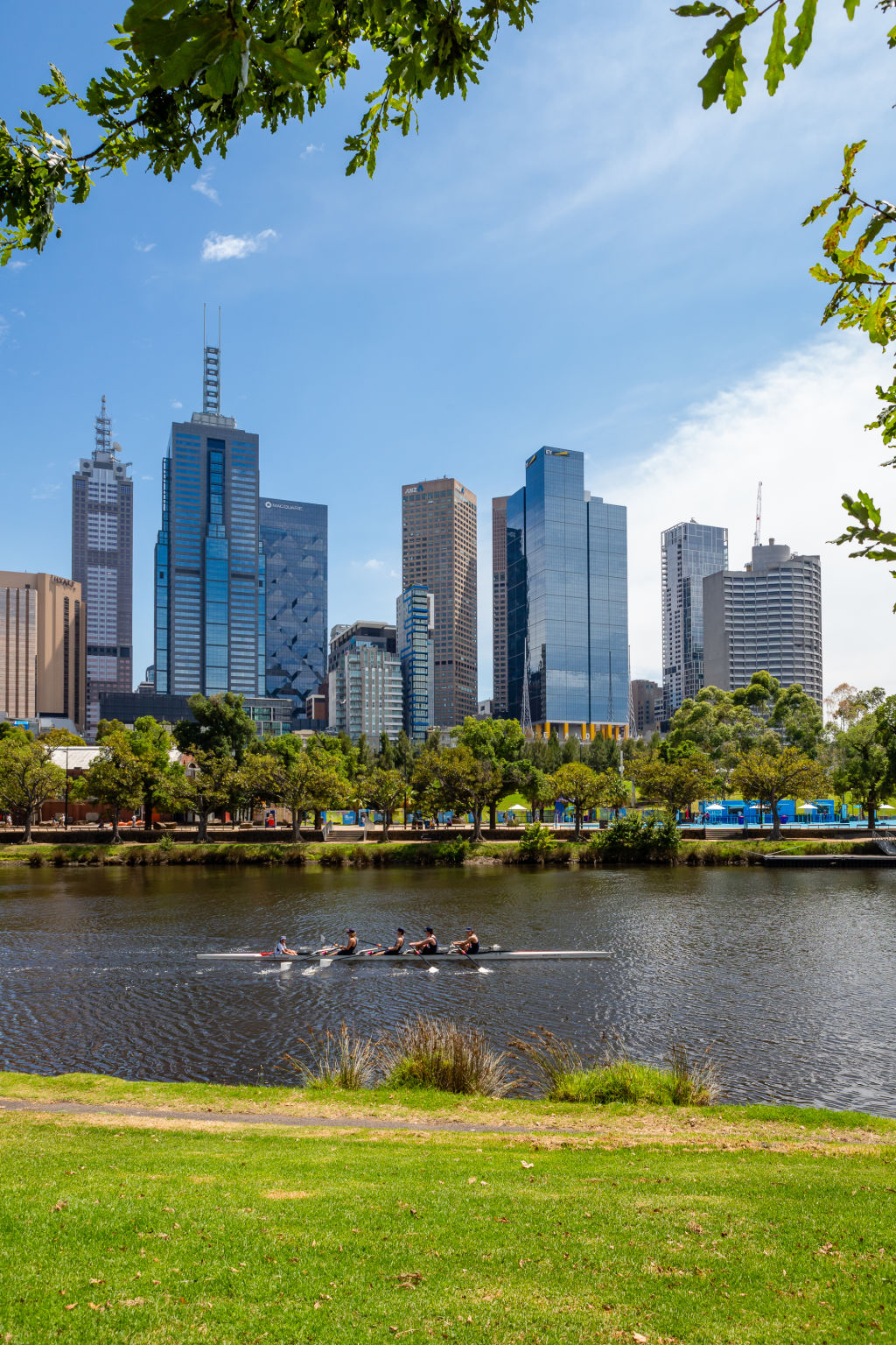 The banks of the yarra just behind Federation Square are as stunning as ever.  Photo: Greg Briggs
