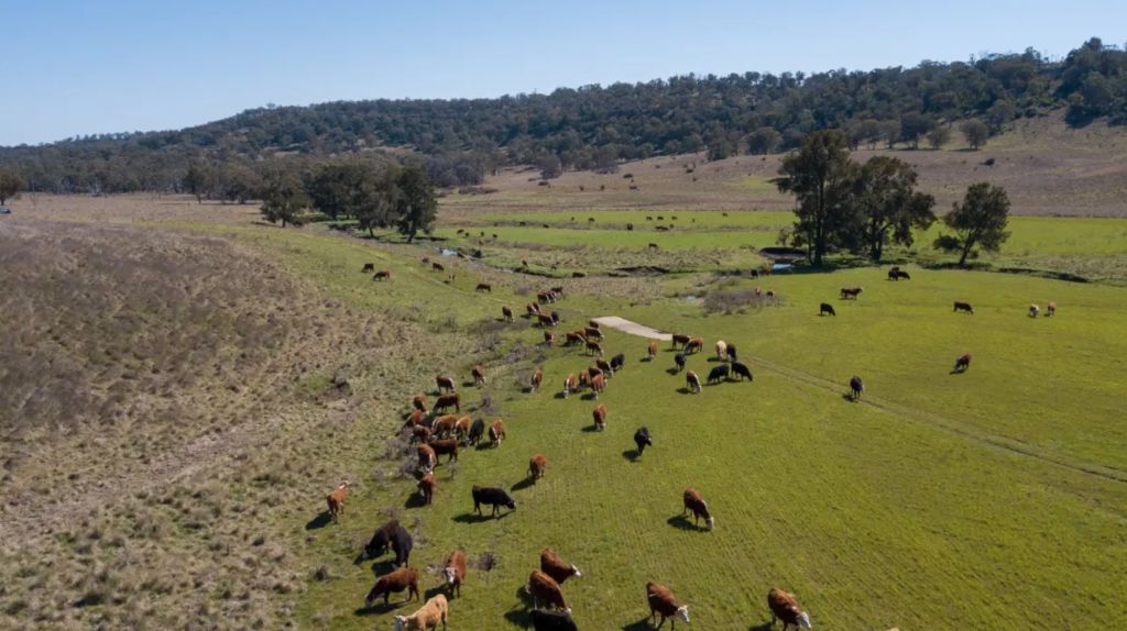 Murdoch's son-in-law adds $22m farm to cattle empire