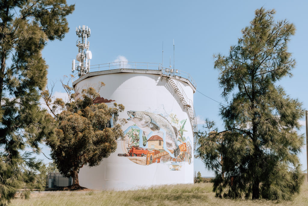 There are stunning spots like the Narrandera Water Tower Art Trail.  Photo: Vaida Savickaite