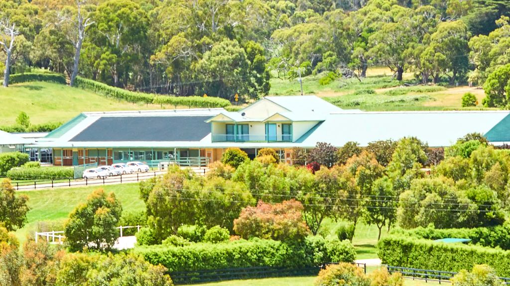 Macedon Lodge trots back to the sales yard