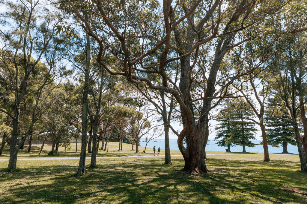 There are still many opportunities to create more green spaces throughout the Sydney region. Photo: Vaida Savickaite
