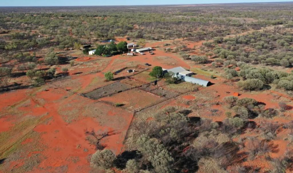 Rural auctions generate $47m in sales in two weeks