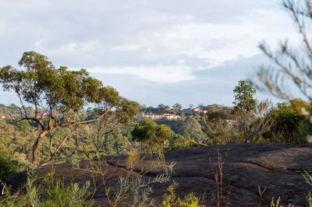 Aboriginal land rights test case in Sydney's northern beaches