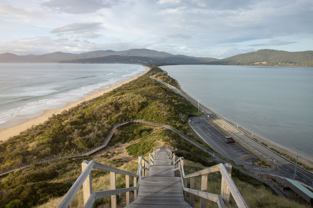 tassie tours bruny island