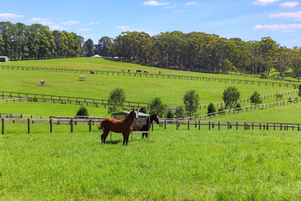 Top studbook property attracts 600 enquiries in 10 days