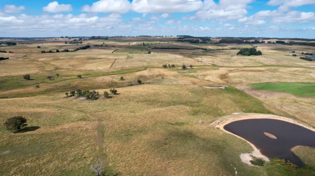 Locals beat lifestylers to $2.5m Southern Tablelands farm