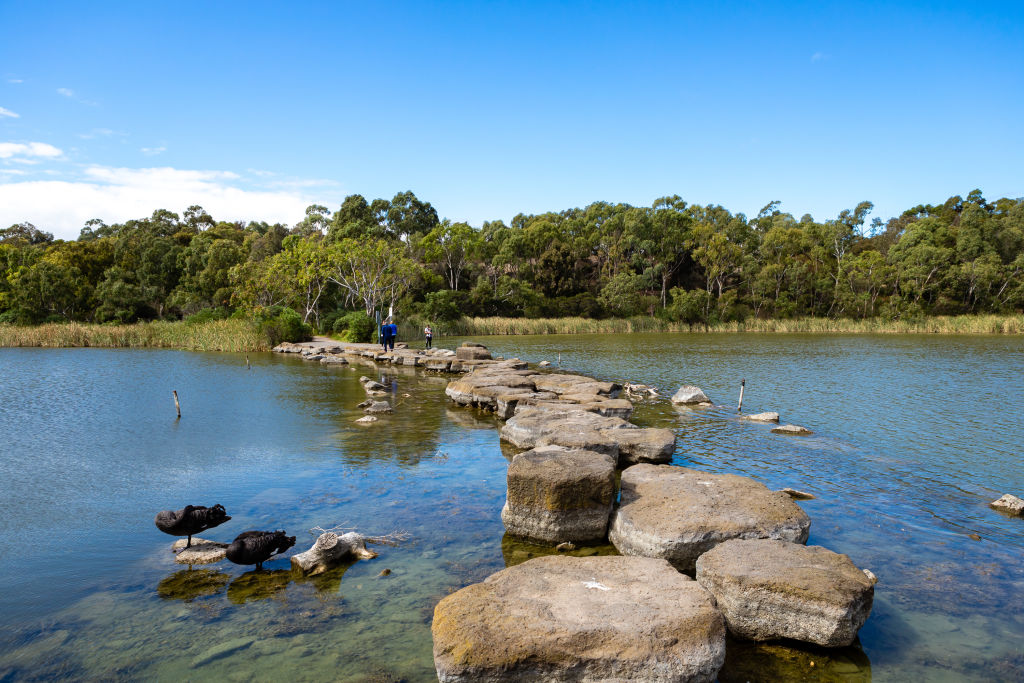 The Newport Lakes Reserve and the Bay Trail are popular spots for a stroll. Photo: Greg Briggs