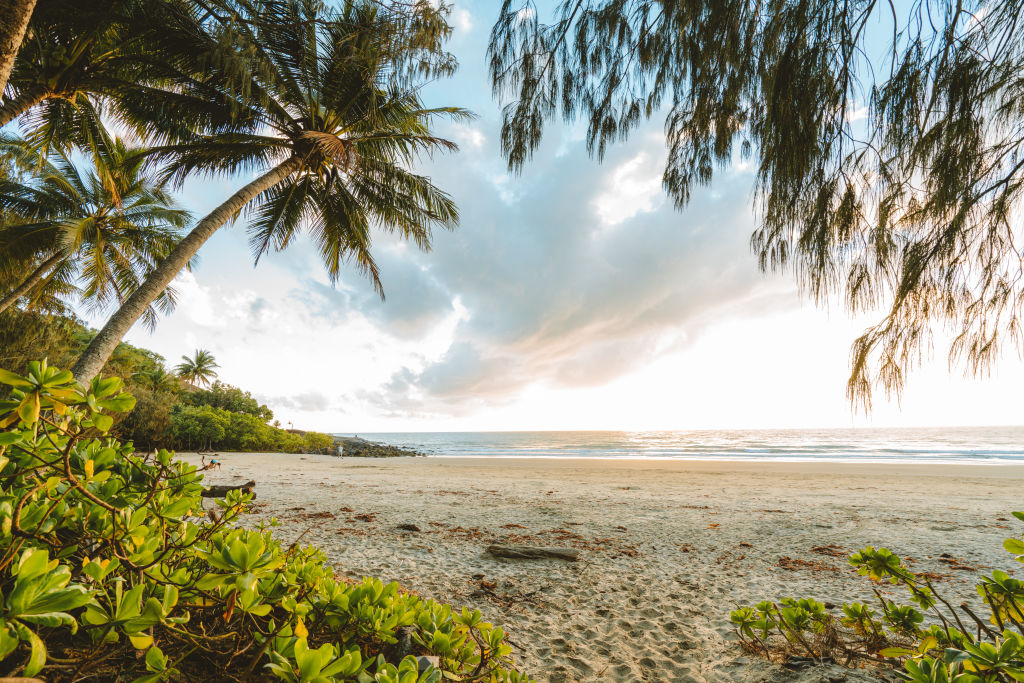 Port Douglas' natural wonders such as its beaches, rainforests and access to the Great Barrier Reef make it a highly sought-after spot for buyers. Photo: Reuben Nutt