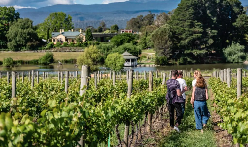 Endeavour, Warakirri snap up Tassie winery Josef Chromy for $55m