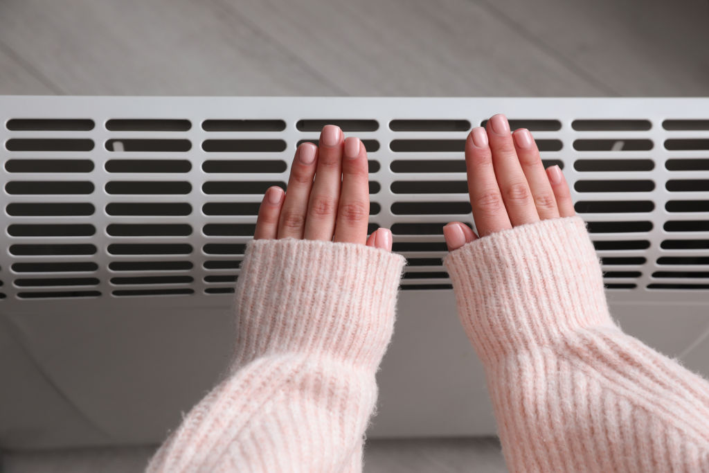 Finding an affordable heating system basically comes down to a combination of upfront costs, efficiency and running costs. Photo: Liudmila Chernetska