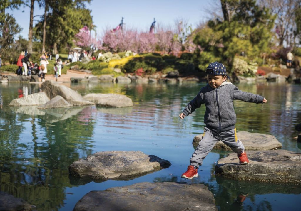 Auburn Botanic Gardens are well worth a visit. Photo: Destination NSW