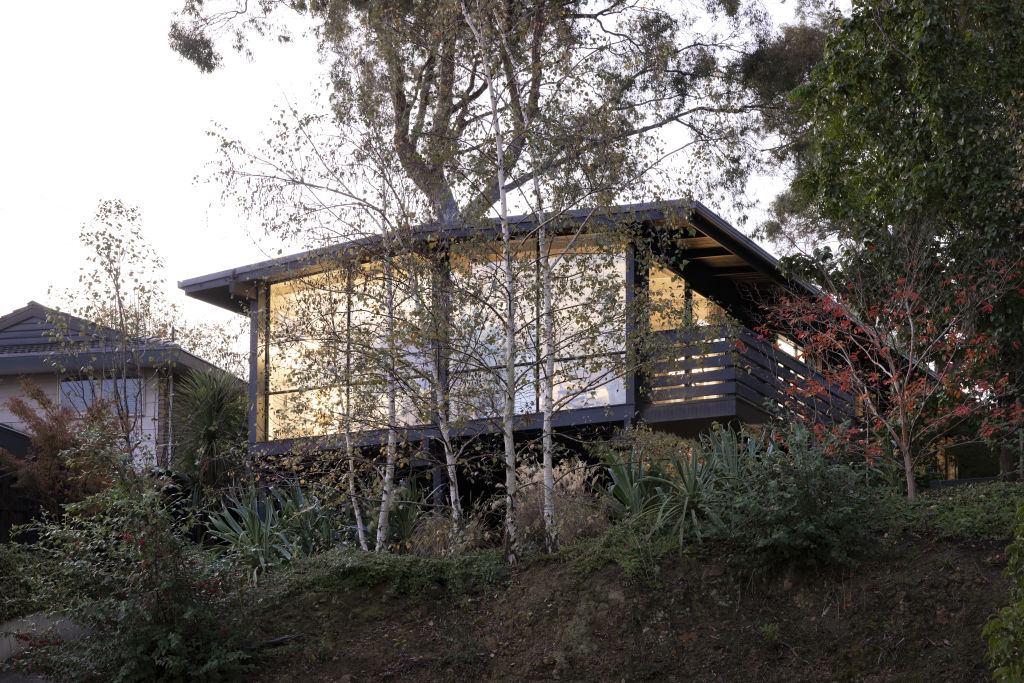 The leafy surrounds at 13 Poynton Avenue, Ringwood. Photo: Dylan James