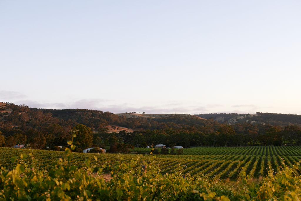 The region has long been prized by lovers of wine and winemakers. Photo: Josh Geelen